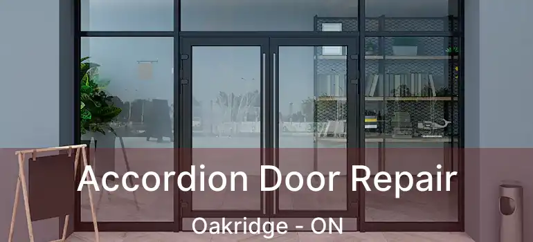  Accordion Door Repair Oakridge - ON