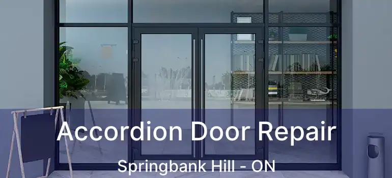  Accordion Door Repair Springbank Hill - ON