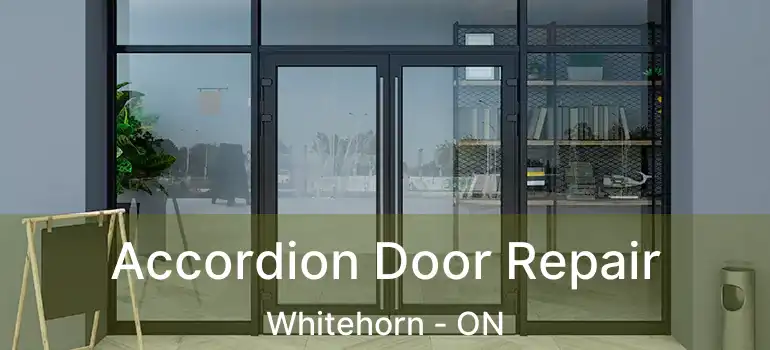  Accordion Door Repair Whitehorn - ON