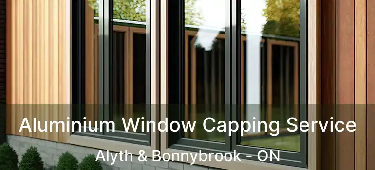  Aluminium Window Capping Service Alyth & Bonnybrook - ON