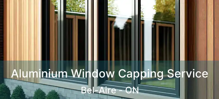  Aluminium Window Capping Service Bel-Aire - ON