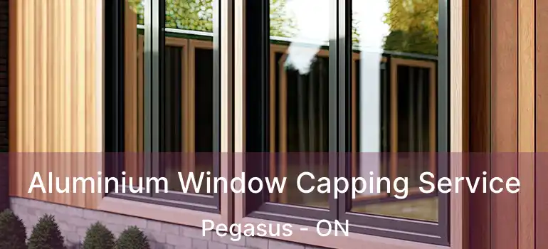  Aluminium Window Capping Service Pegasus - ON