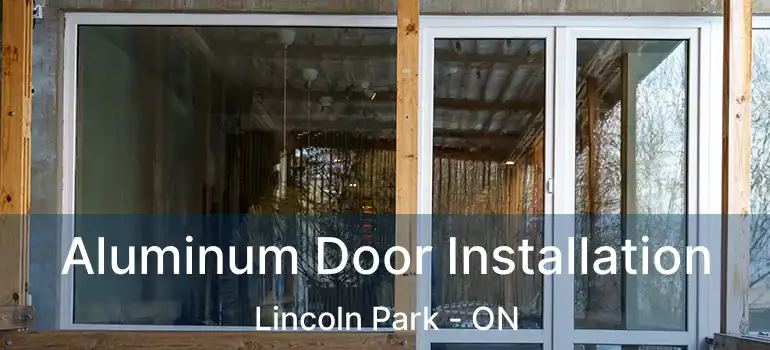 Aluminum Door Installation Lincoln Park - ON