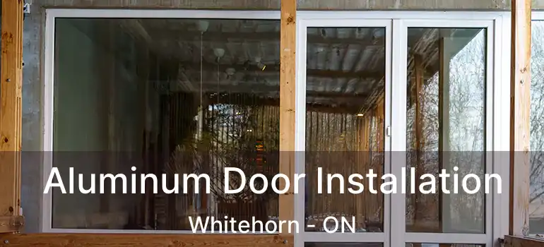  Aluminum Door Installation Whitehorn - ON