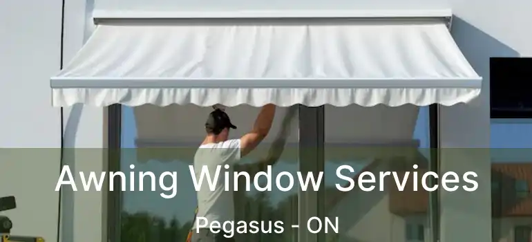  Awning Window Services Pegasus - ON