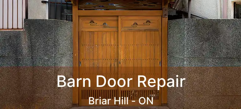  Barn Door Repair Briar Hill - ON