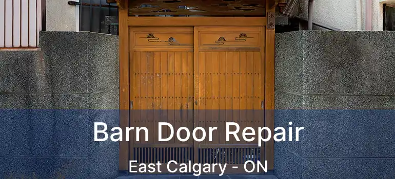  Barn Door Repair East Calgary - ON