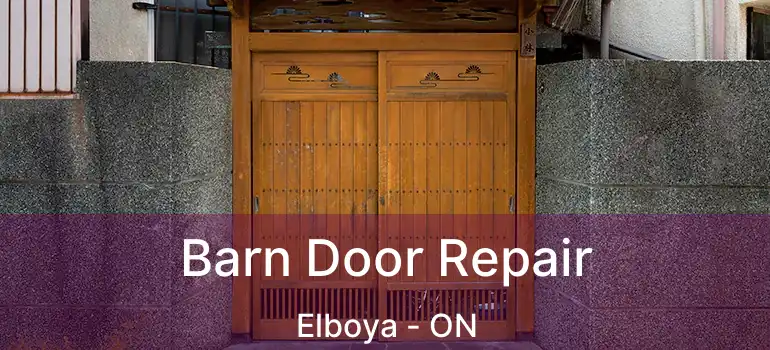  Barn Door Repair Elboya - ON