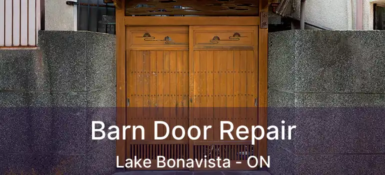  Barn Door Repair Lake Bonavista - ON