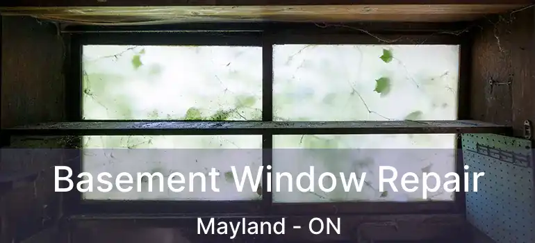  Basement Window Repair Mayland - ON