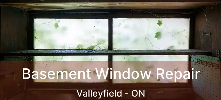 Basement Window Repair Valleyfield - ON