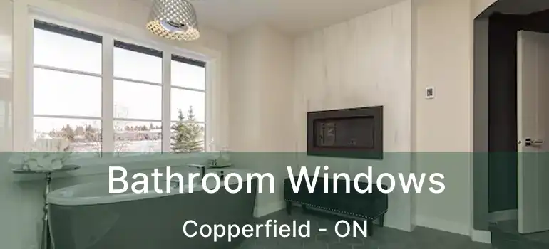  Bathroom Windows Copperfield - ON