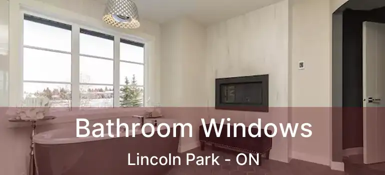  Bathroom Windows Lincoln Park - ON