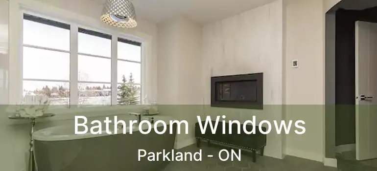  Bathroom Windows Parkland - ON