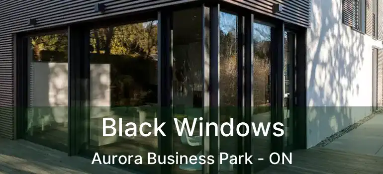  Black Windows Aurora Business Park - ON