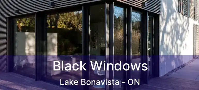  Black Windows Lake Bonavista - ON