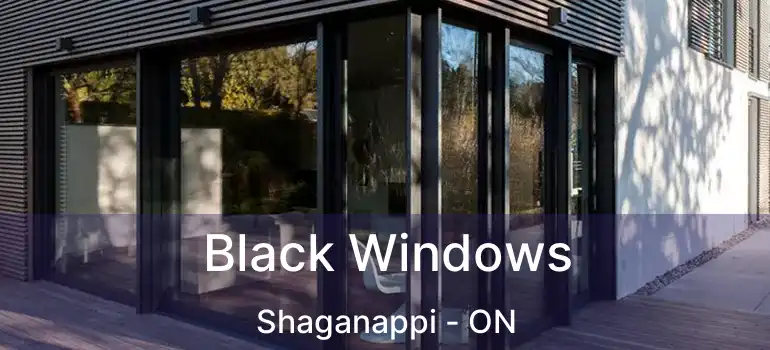  Black Windows Shaganappi - ON