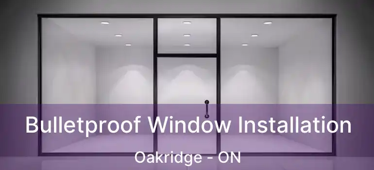  Bulletproof Window Installation Oakridge - ON