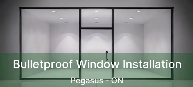  Bulletproof Window Installation Pegasus - ON