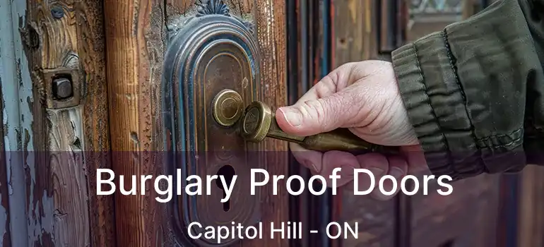  Burglary Proof Doors Capitol Hill - ON