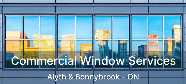  Commercial Window Services Alyth & Bonnybrook - ON
