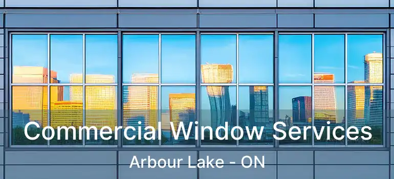  Commercial Window Services Arbour Lake - ON