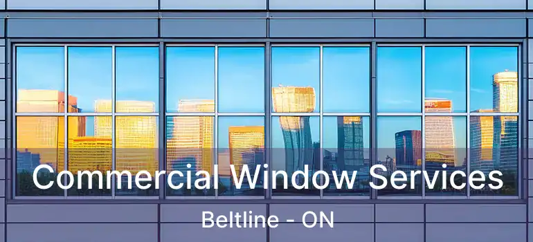  Commercial Window Services Beltline - ON
