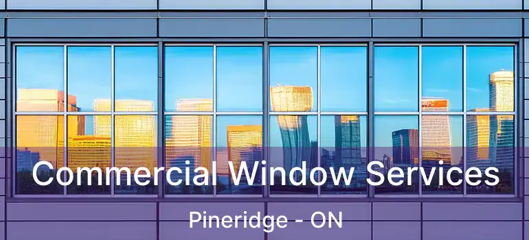  Commercial Window Services Pineridge - ON
