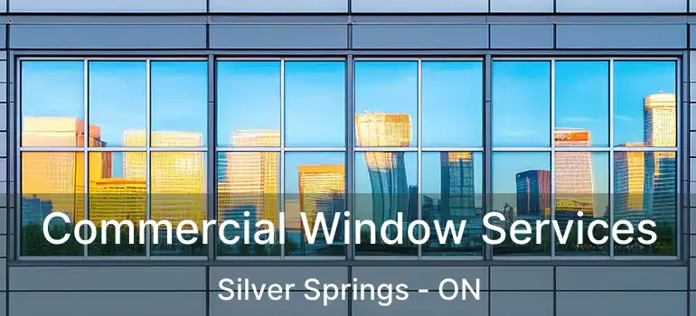  Commercial Window Services Silver Springs - ON
