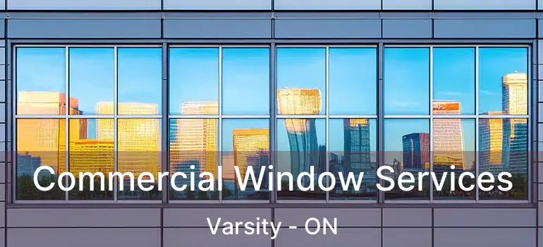  Commercial Window Services Varsity - ON