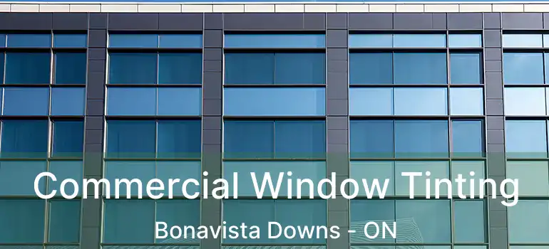  Commercial Window Tinting Bonavista Downs - ON