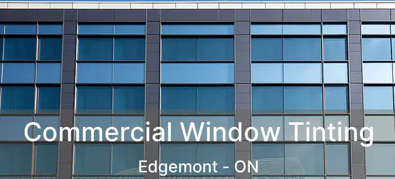  Commercial Window Tinting Edgemont - ON