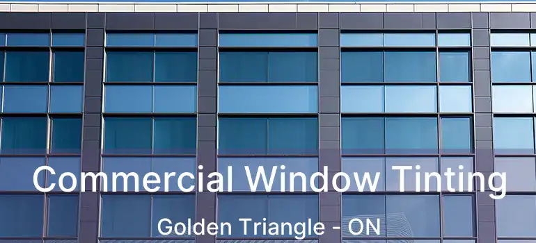  Commercial Window Tinting Golden Triangle - ON