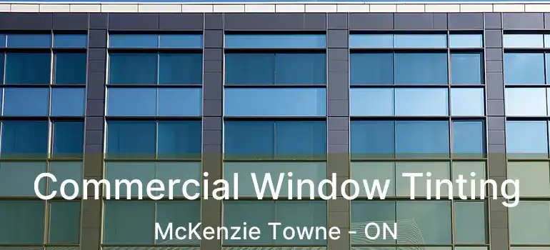  Commercial Window Tinting McKenzie Towne - ON