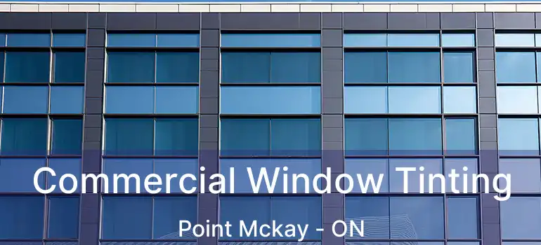  Commercial Window Tinting Point Mckay - ON