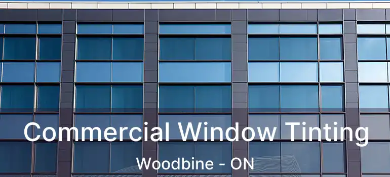  Commercial Window Tinting Woodbine - ON