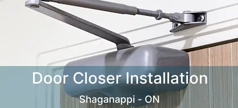  Door Closer Installation Shaganappi - ON