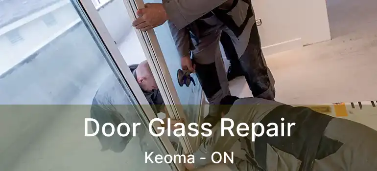 Door Glass Repair Keoma - ON