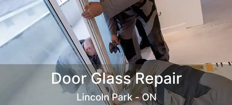  Door Glass Repair Lincoln Park - ON