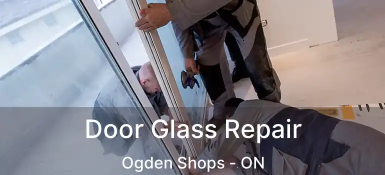  Door Glass Repair Ogden Shops - ON