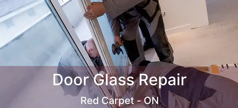  Door Glass Repair Red Carpet - ON