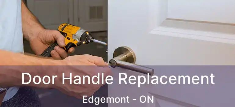  Door Handle Replacement Edgemont - ON