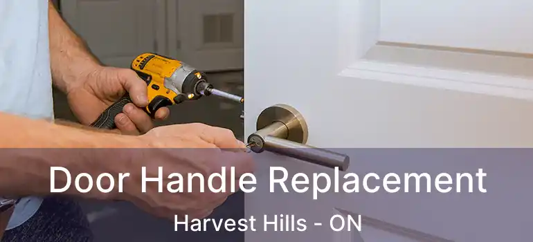  Door Handle Replacement Harvest Hills - ON