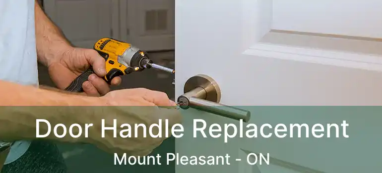  Door Handle Replacement Mount Pleasant - ON