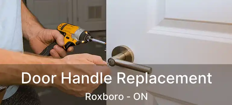  Door Handle Replacement Roxboro - ON