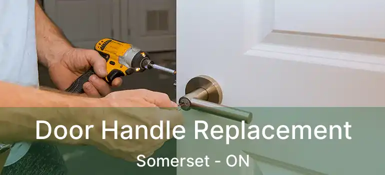  Door Handle Replacement Somerset - ON