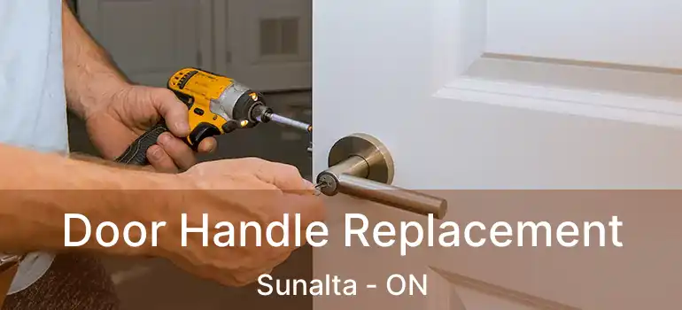 Door Handle Replacement Sunalta - ON