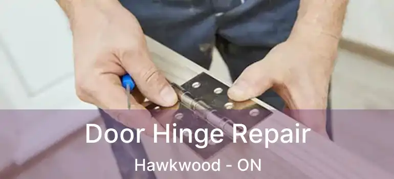  Door Hinge Repair Hawkwood - ON