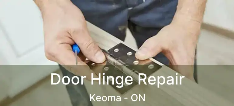  Door Hinge Repair Keoma - ON