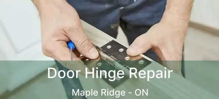  Door Hinge Repair Maple Ridge - ON